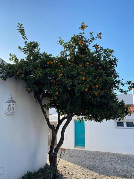 Cozy Summer House Alvor Luaran gambar